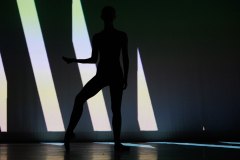 Marc-Alain-Zimmerli-352