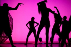 Danse MDC spectacle Femmes comme un évidanse