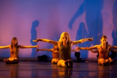 Danse MDC spectacle Femmes comme un évidanse