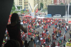 Meli-2008 243