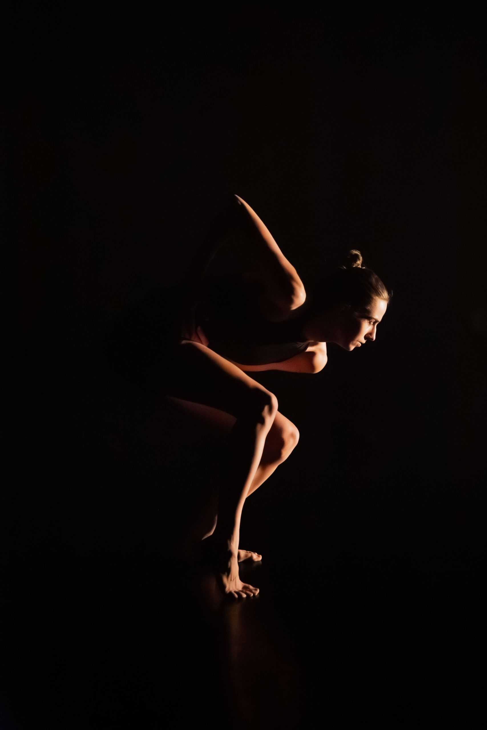 Arts études / Filière préprofessionnelle